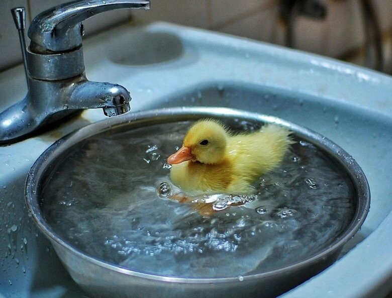 ����: 057.ua