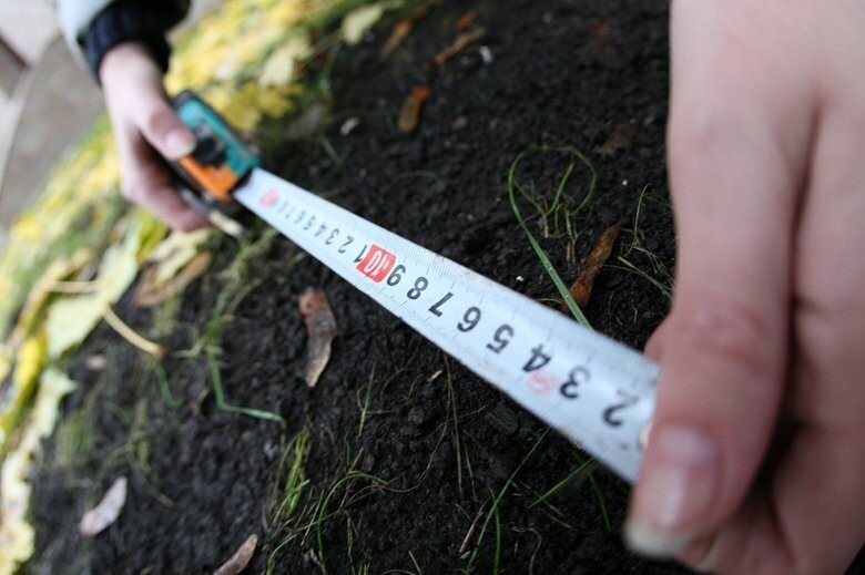  ����������� ������������� ��������� ������� ����� ������ 