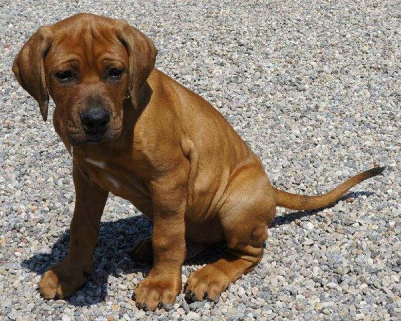 ����: 057.ua