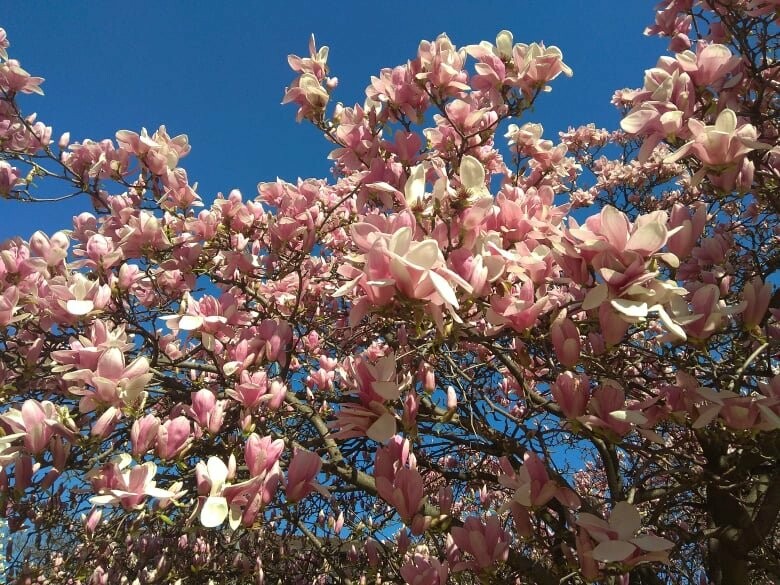  ������� ������ ����� ������������ �������� 