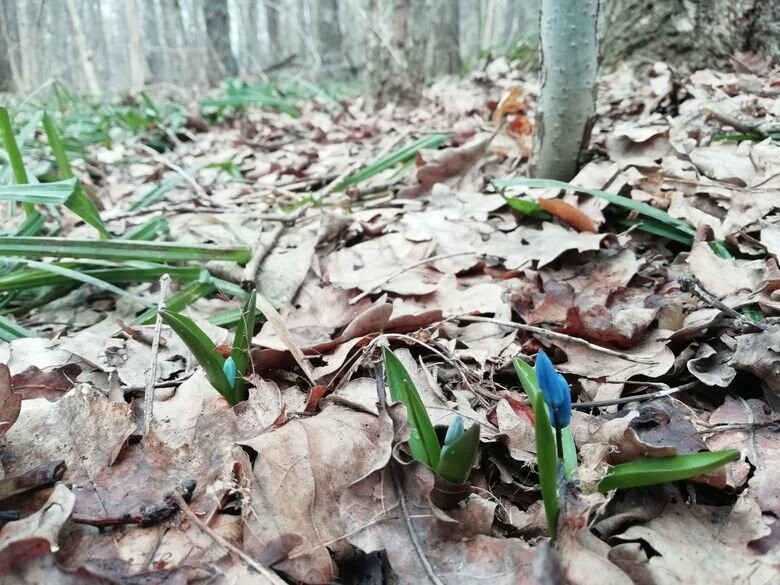  ������ �������� ������������ ��������� ��������� ��� 