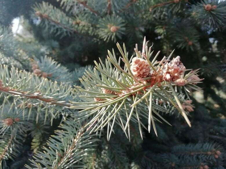  ������� ������ �������� ������� ������ ������ 