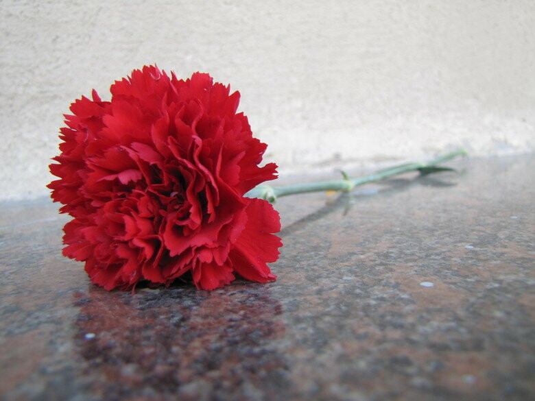  ���� ������ �������� ��������� ������������ ��������� ������������ 