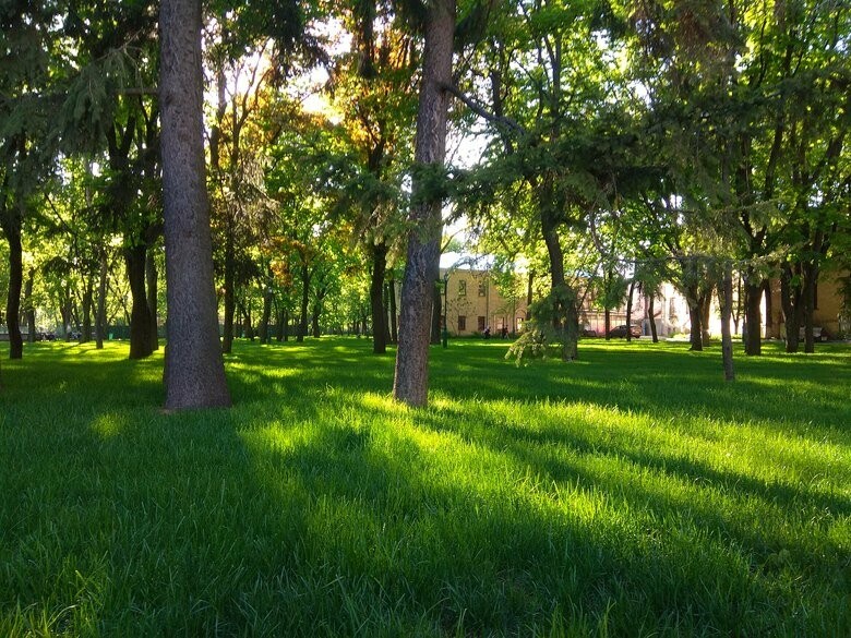  ���� ����� ������ �������� ������ ������ 