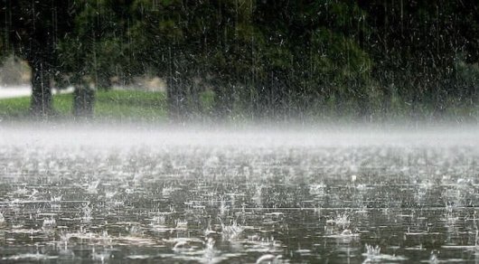  ����� ����� ������ ������������ ������������ ������ ������ 