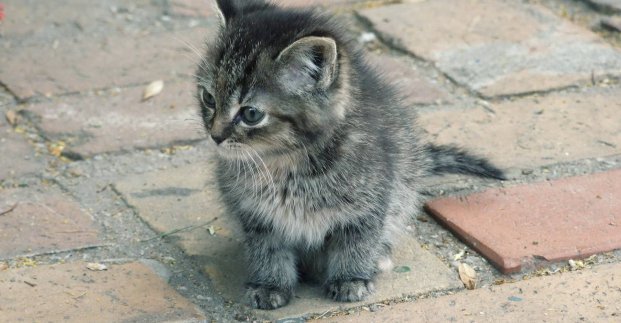  �������� ������� ������� ������ ������� ����� ��������� ������ 