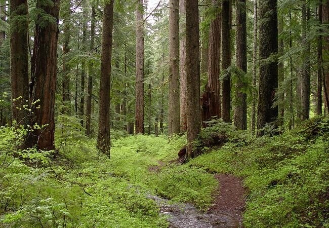 ����: 057.ua