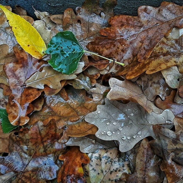  ������ �������� ������������ ��������� 