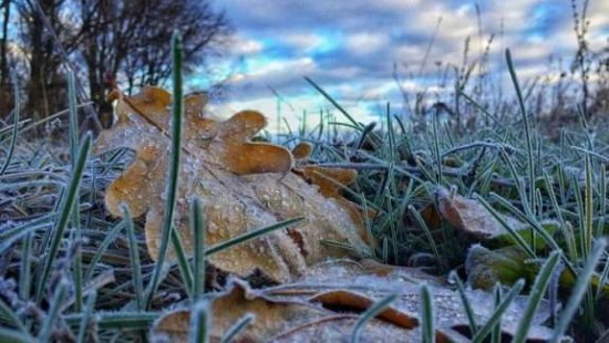  ����������� ������ ������ ������ ��������� ��� �������� 