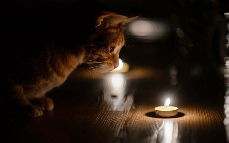 ����: 057.ua