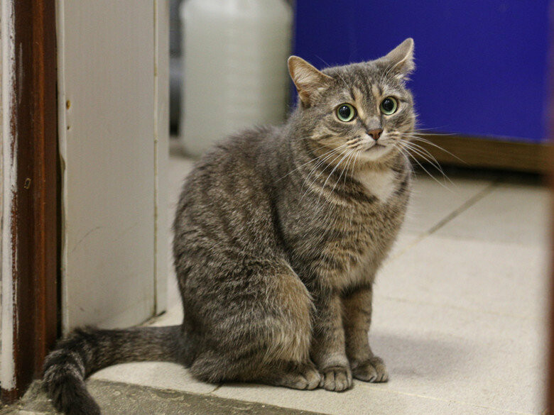 ����: 057.ua