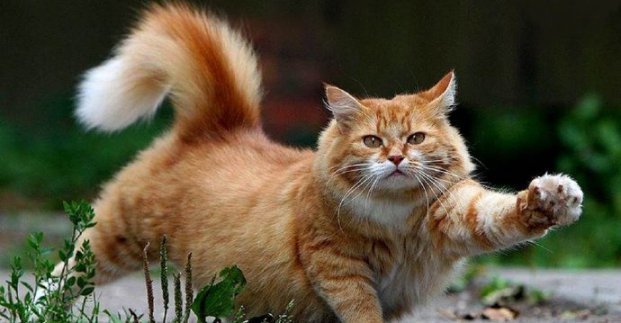 ����: 057.ua