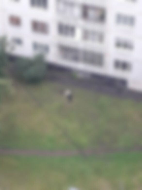  ��������� �������� ������� ������ ��������� �������� ����� 