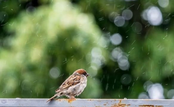  ���� ����� ������� ������ �������� ��������� ��� 