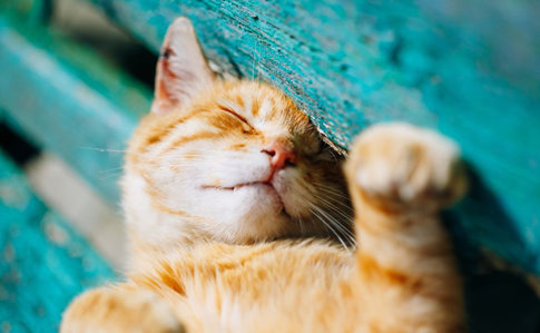 ����: 057.ua