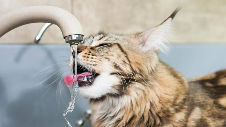 ����: 057.ua