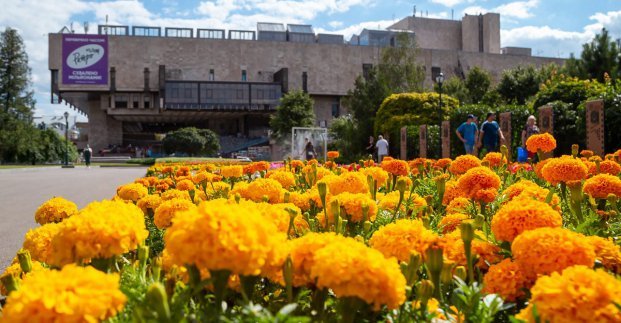  �������� �������� ����� 