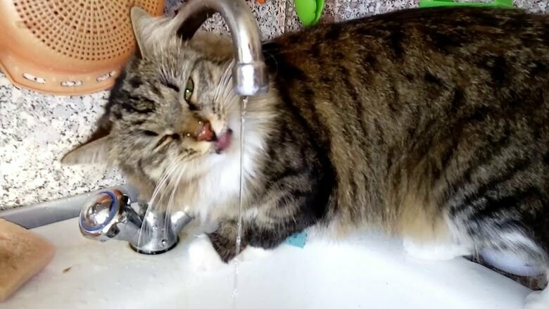  �������� ����� ������� �������� ���� ������ 