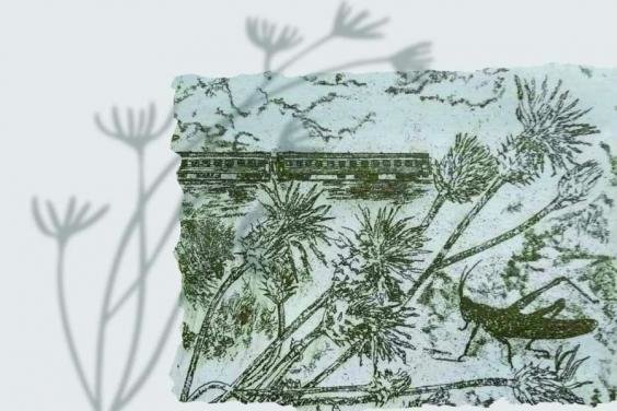  �������������� ����� ��������� �������� ��������� �������� ������� �������� 