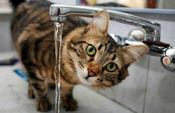  ������ �������� �������� ���� ������ 