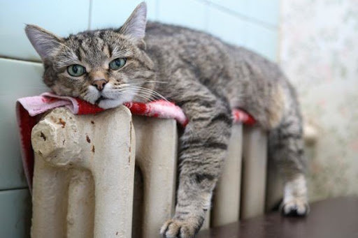  �������� ����� ����� ��������� ����� ������� ���� 