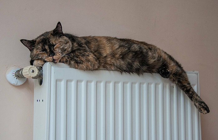  �������� ����� ����� �������� ��������� 