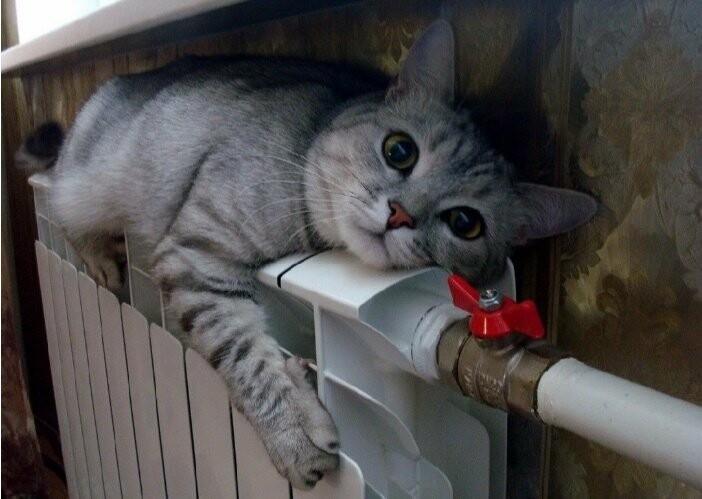  �������� ����� ����� ��������� ����� ������� ���� ������ 