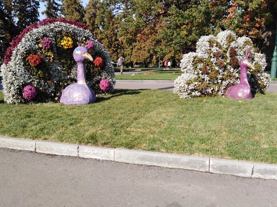 ����: 057.ua