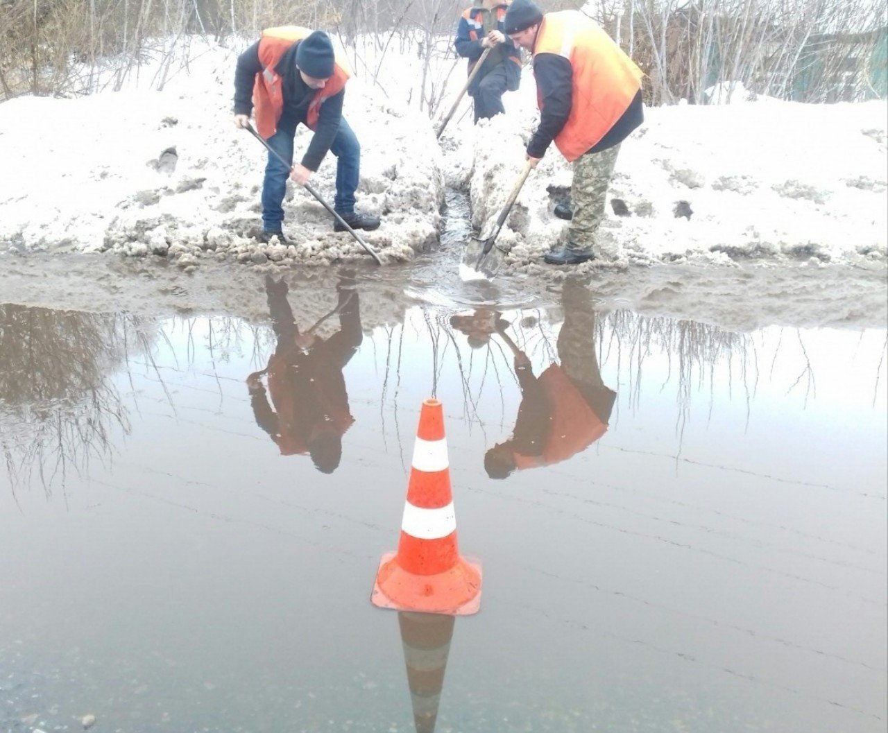  ������ ����������� ���������� ������ ����� ���� ���� 