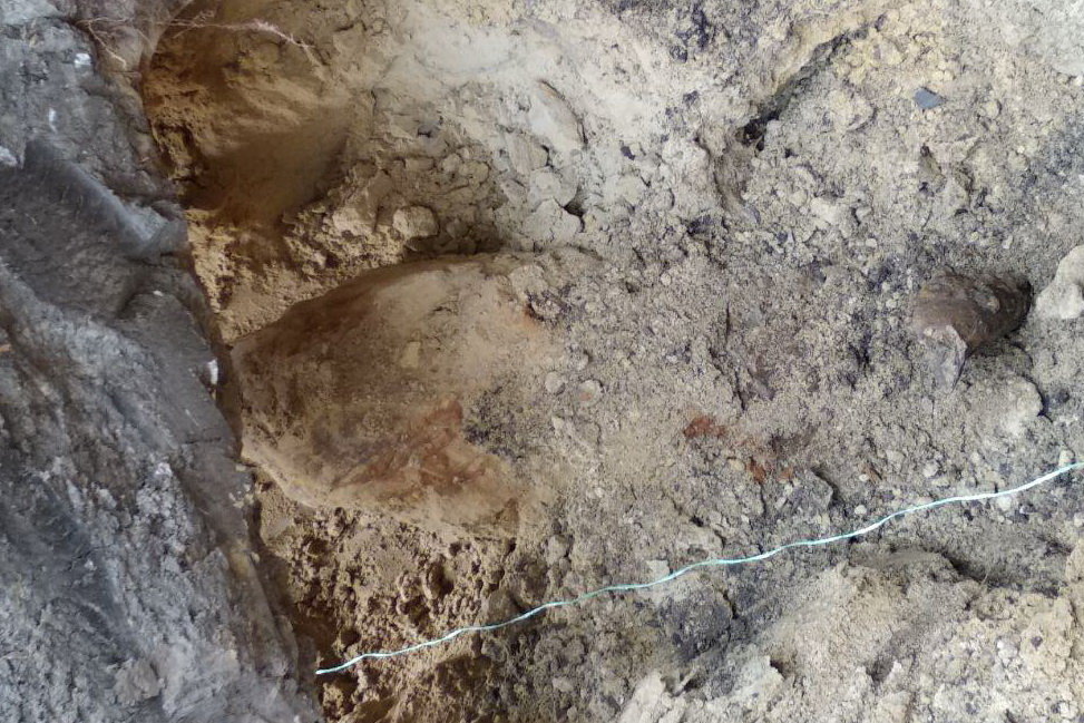  ������ ��� ������������� ����� �������� ��������� ���� 