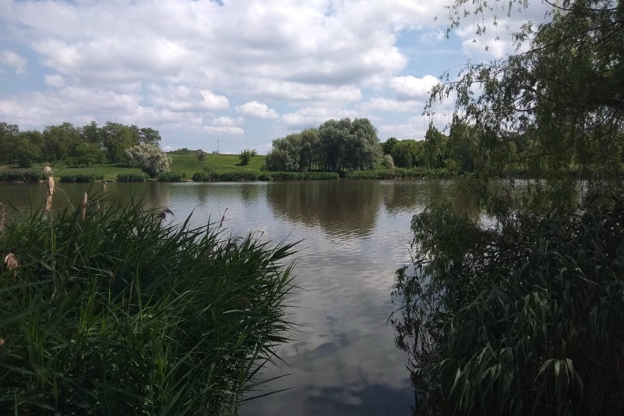  ����� ��������� ����� ���� ����������� ���� 