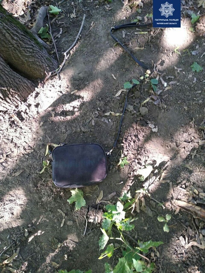  �������� ����������� ������� ������� ������ ���� 