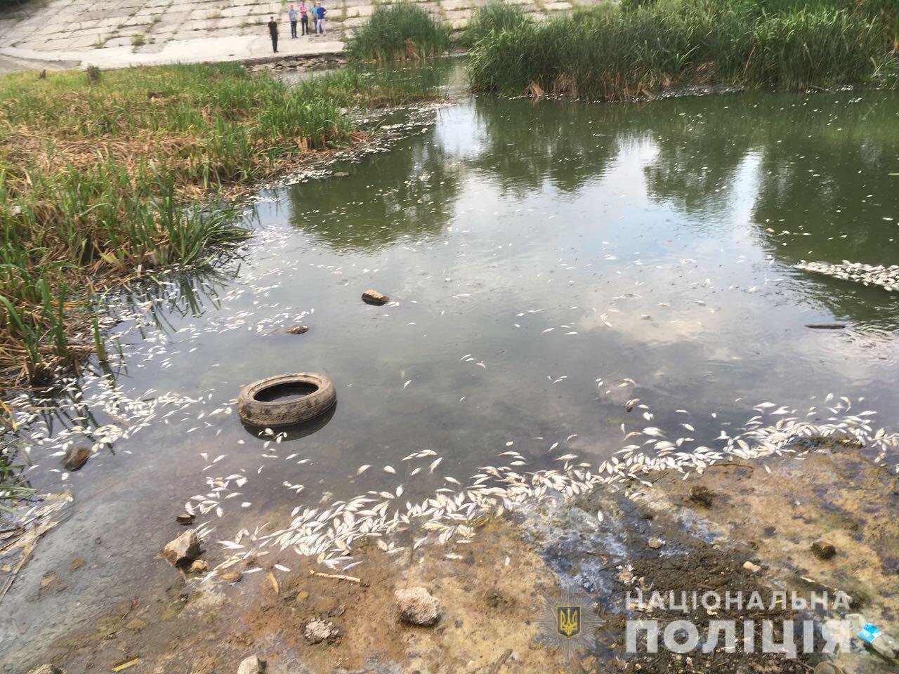 ����: 057.ua