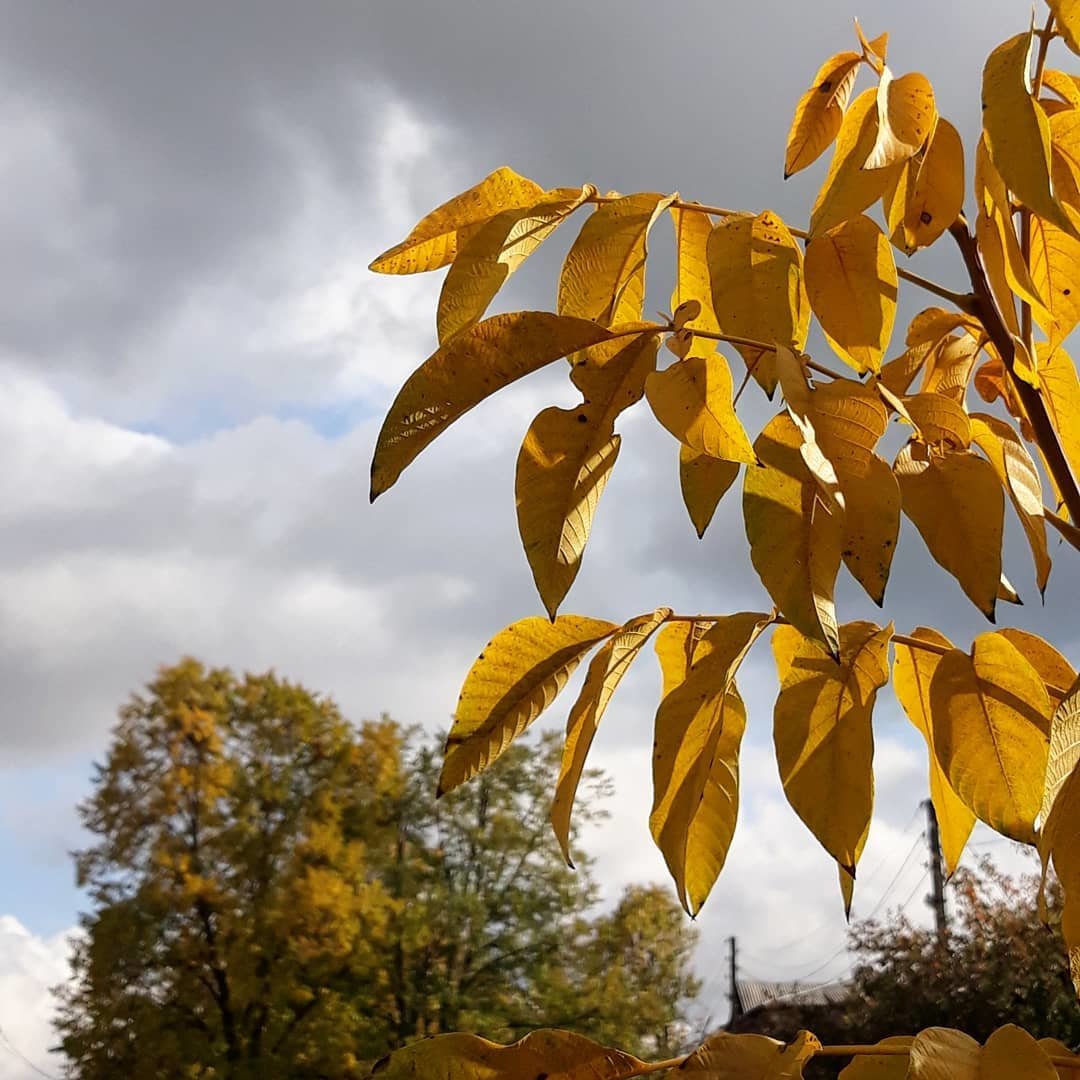  ������ �������� ������������ ��������� ���� 