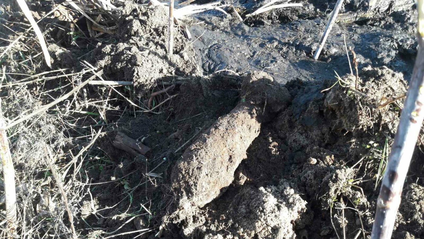  ����� ����������� ����������� ������������� ������� ����������� ��� ���� 