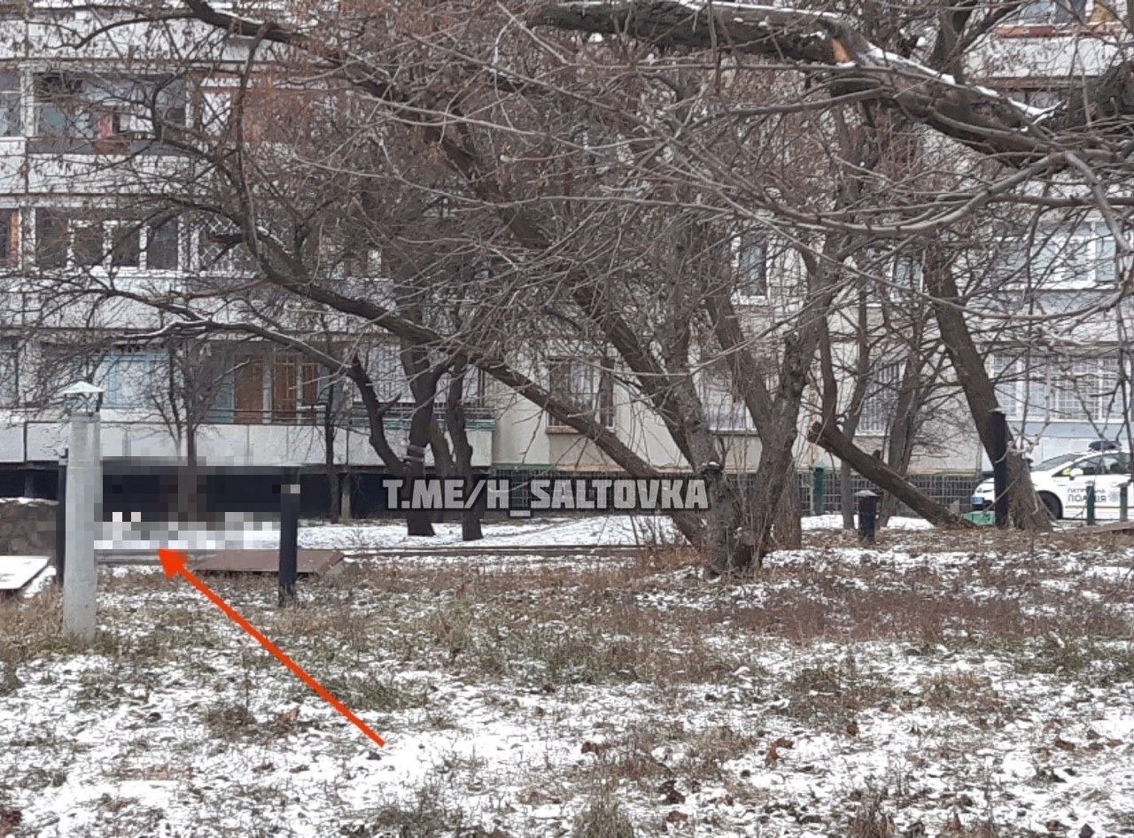  �������� ������ ����������� �������� ����� ���� ������� ���� 