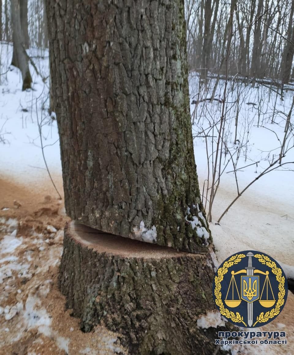  ����������� ������� ������ ��������� �������� ����� ����������� 300 