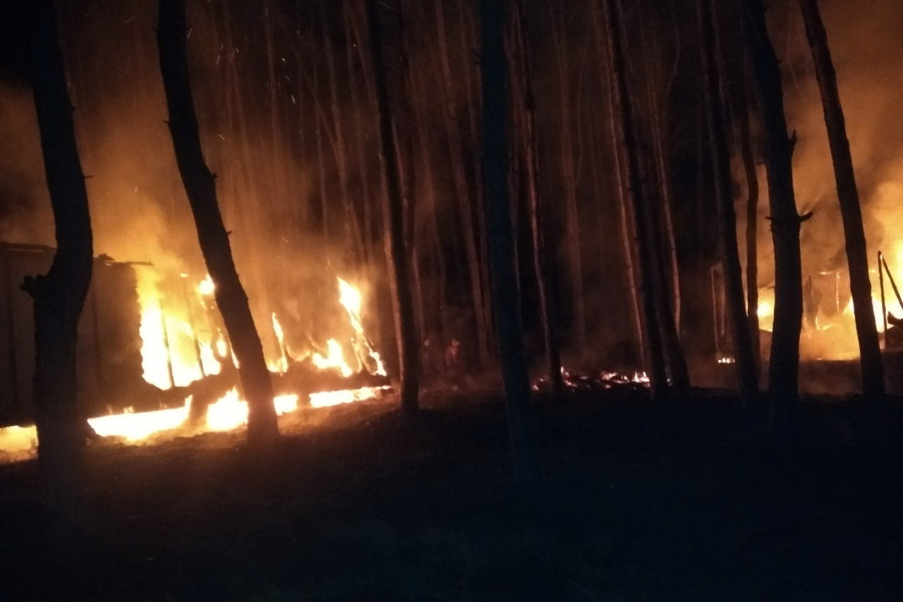  ������ ��������� ����� ������ ���� 