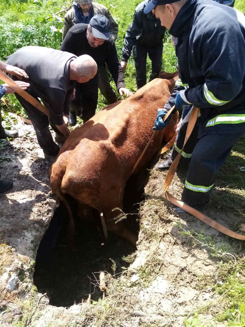  ����������� ����������� ������� ����������� ������ ����� ���� ������� 