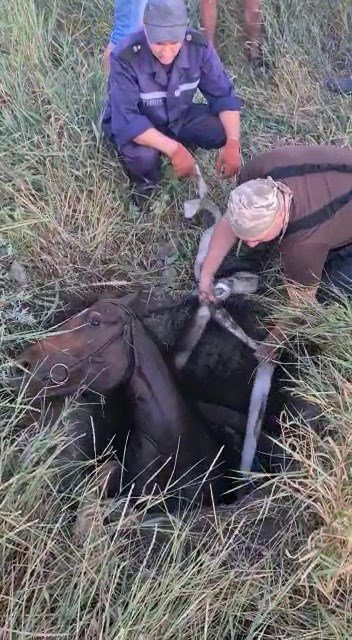  ����������� ��������� ��������� ��������� �������� ������� ������ ���� 