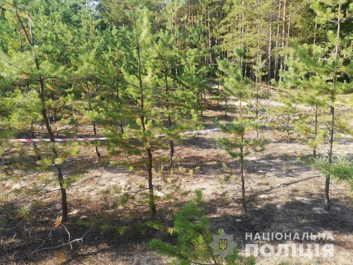  ������� ������� ��� ����������� ������� ��������� ������ ������� 