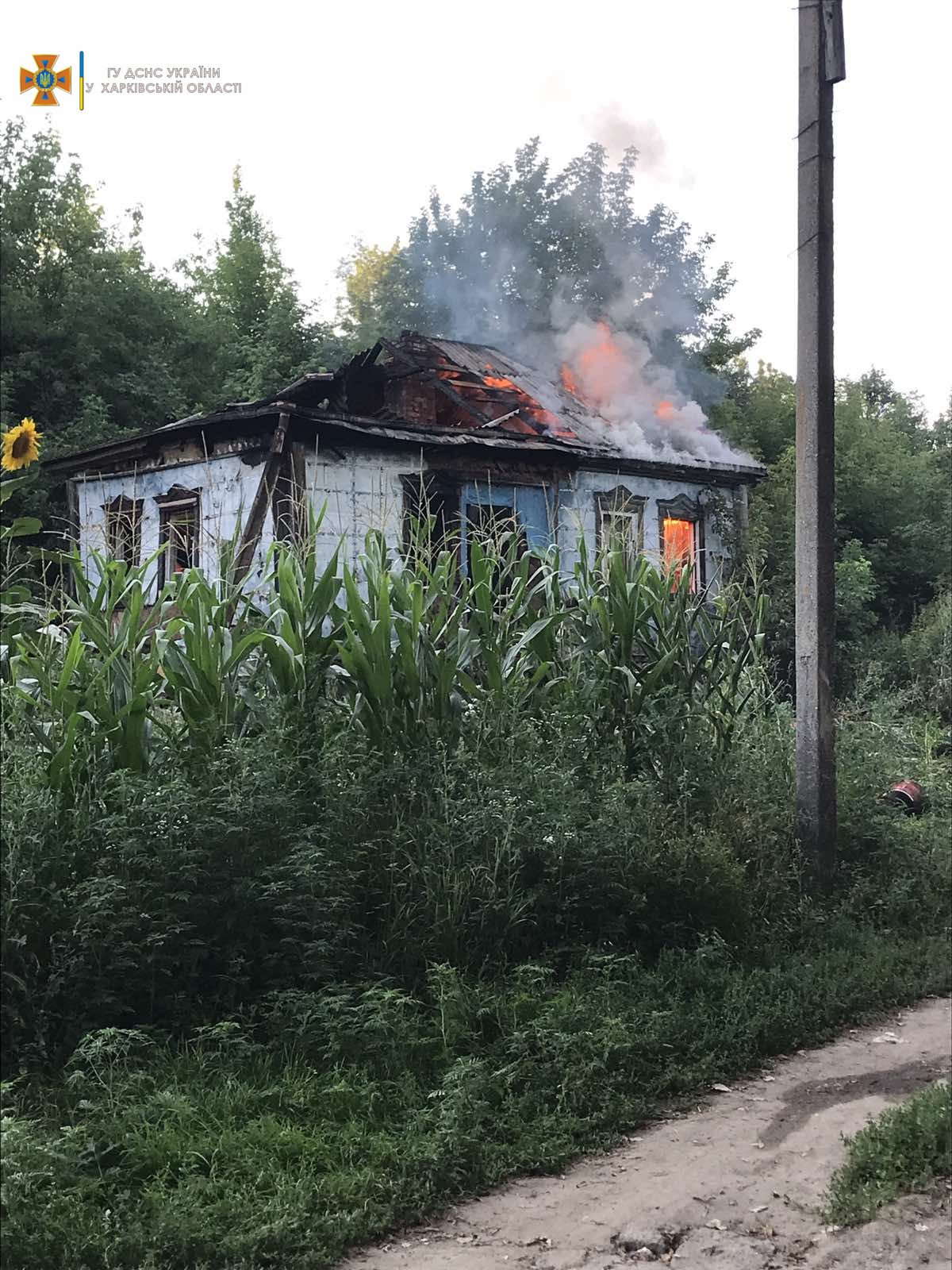  ����������� ������ ������� ���� ���������� �������� ������� �������� 