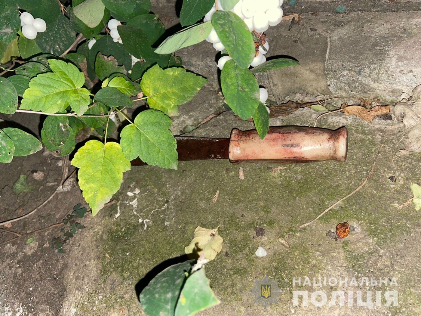 ������ ������ ���� � ������� �� ����� �����: �� ����������� ������� ���� ������ ���������