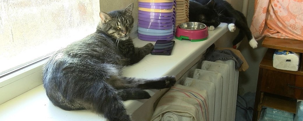  ����� ���� ��������� ������� ���� ����� ����� ���� 