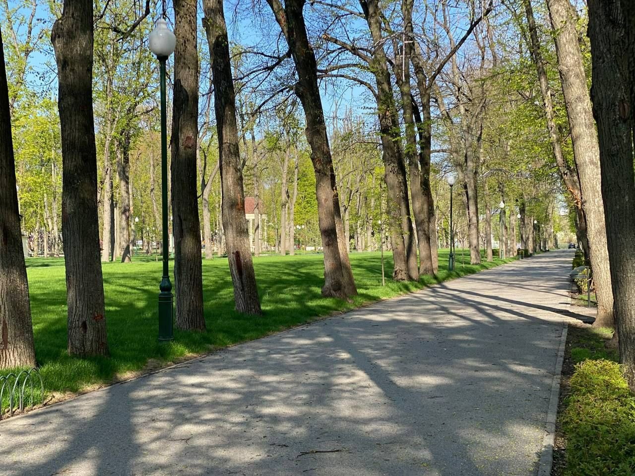  ������������ ����� ������� �������� ��� ���� ������� ���� 