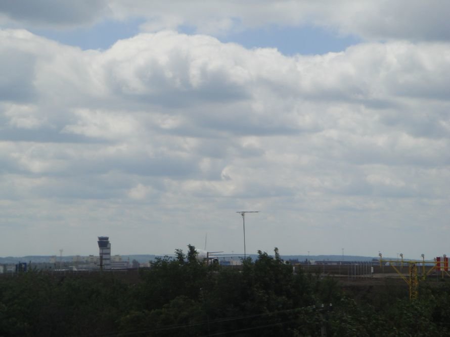 DSC06474