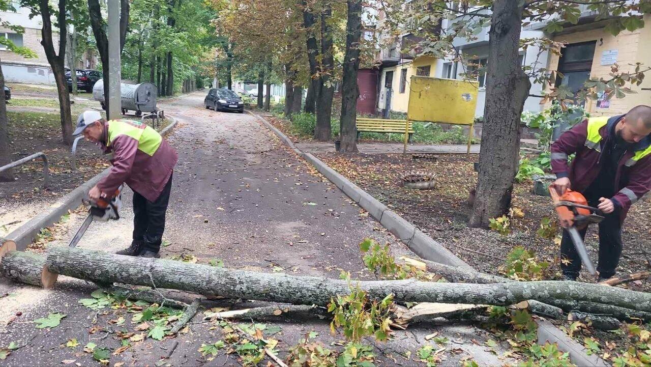Сильний вітер наробив біди у Харкові: впали понад 160 дерев, десятки тисяч людей без світла