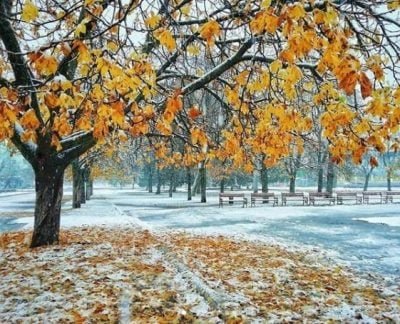 Погода у Харкові на тиждень