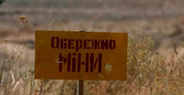 Терехов закликав мешканців Харкова утриматись від прогулянок лісосмугами 