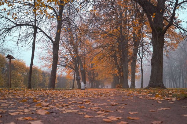 Погода у Харкові сьогодні. Який прогноз на 18 листопада